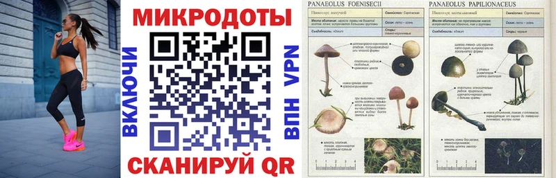 Галлюциногенные грибы прущие грибы  Исилькуль 